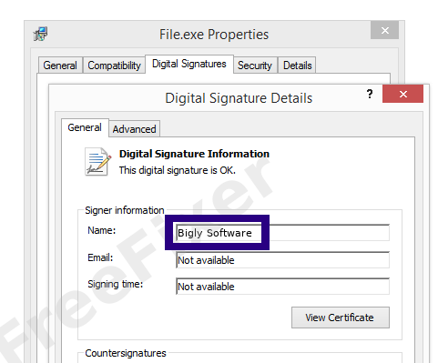 Screenshot of the Bigly Software certificate